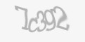 Защитный код