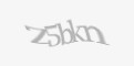 Защитный код