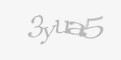 Защитный код